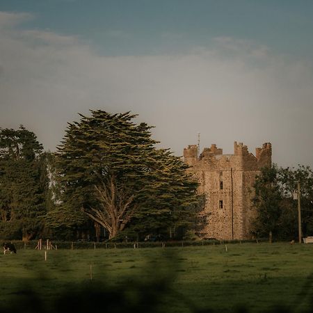 Drinagh Killiane Castle Country House & Farm מראה חיצוני תמונה