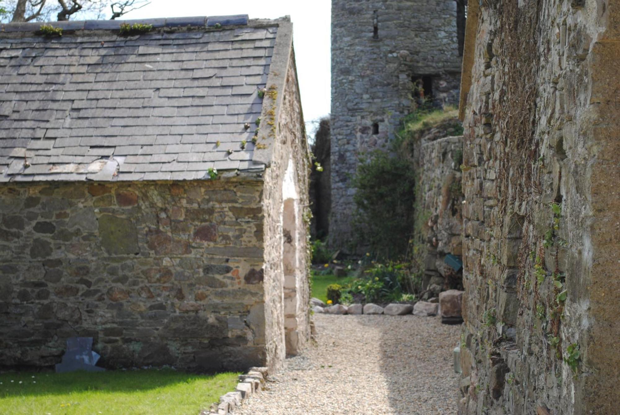Drinagh Killiane Castle Country House & Farm מראה חיצוני תמונה