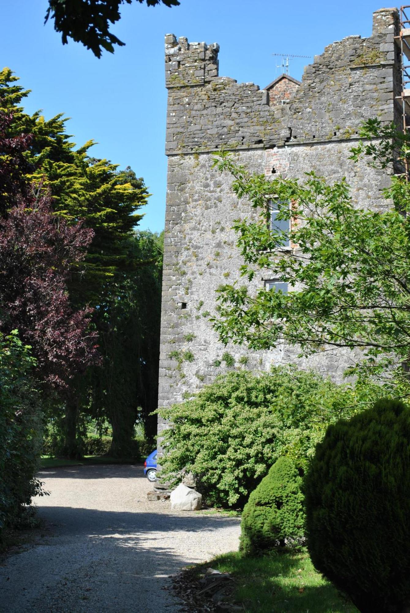 Drinagh Killiane Castle Country House & Farm מראה חיצוני תמונה