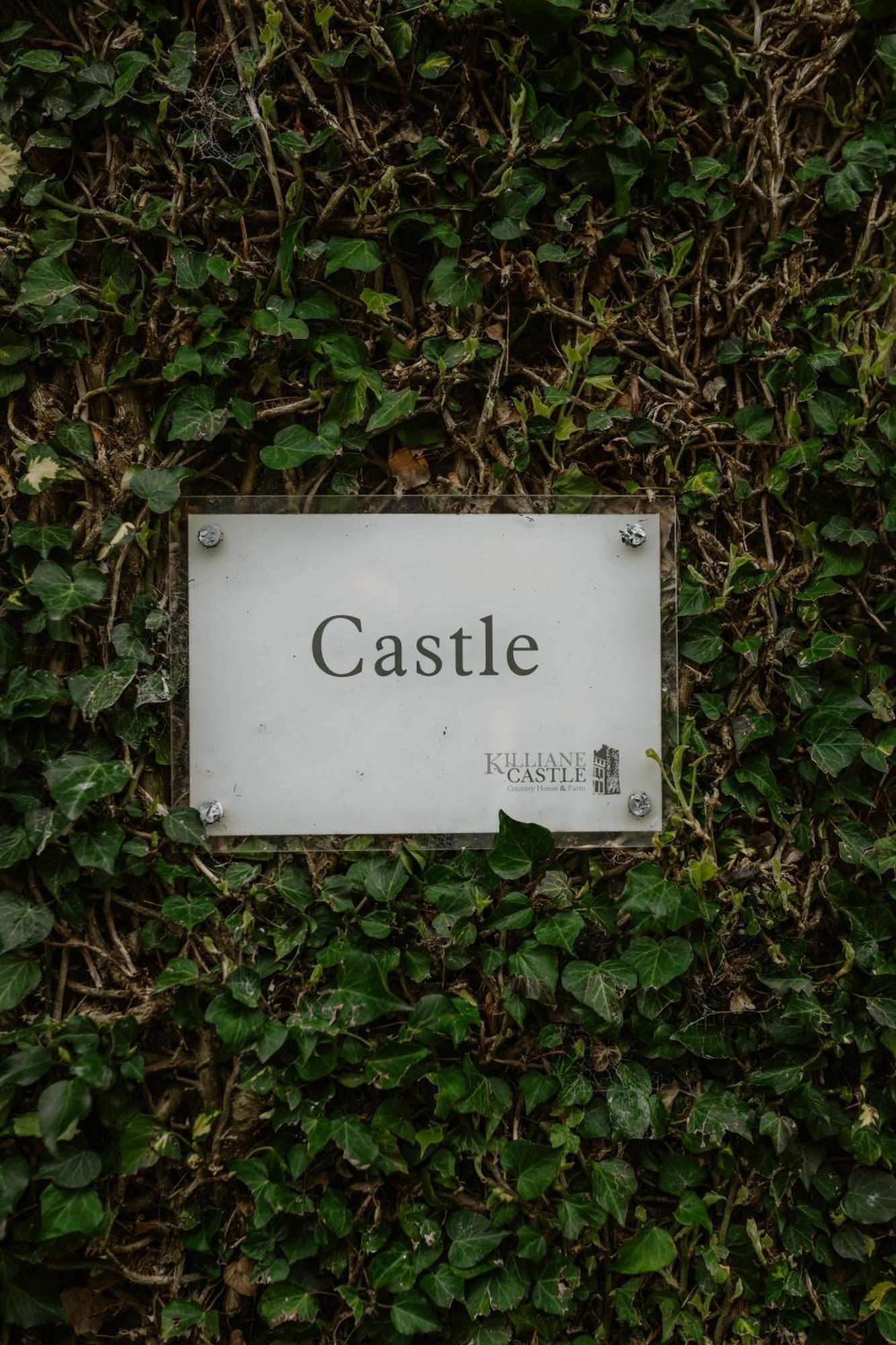 Drinagh Killiane Castle Country House & Farm מראה חיצוני תמונה