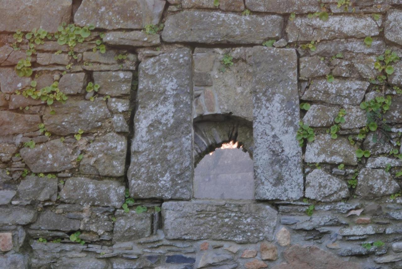 Drinagh Killiane Castle Country House & Farm חדר תמונה